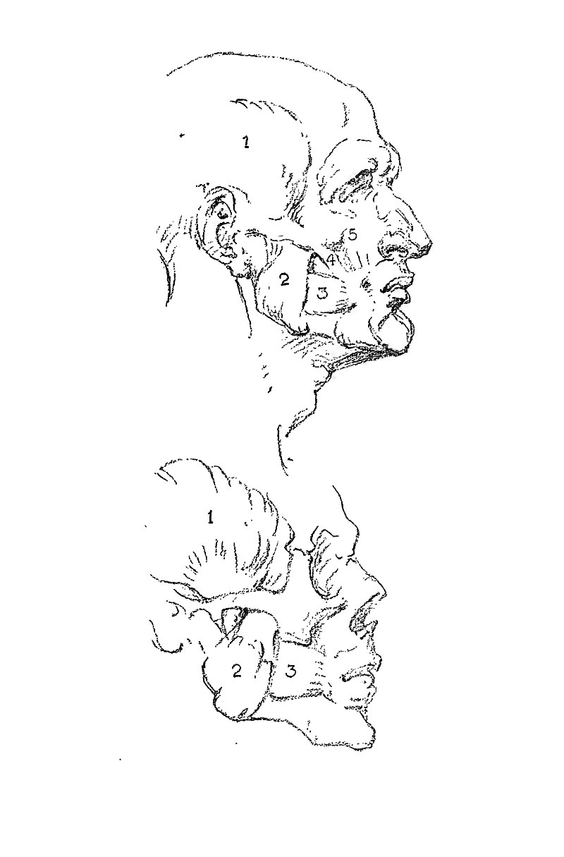 Image File
