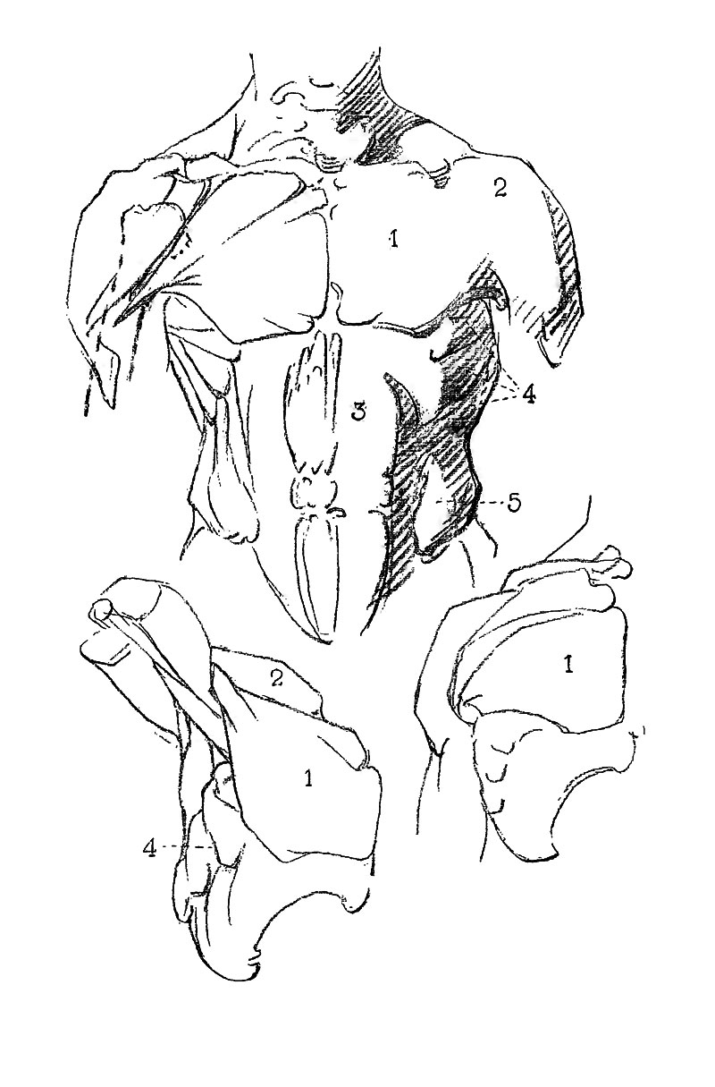 Image File