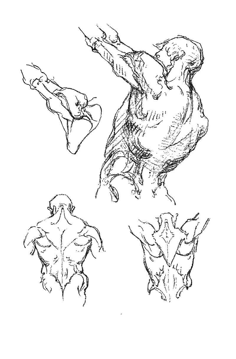 Image File