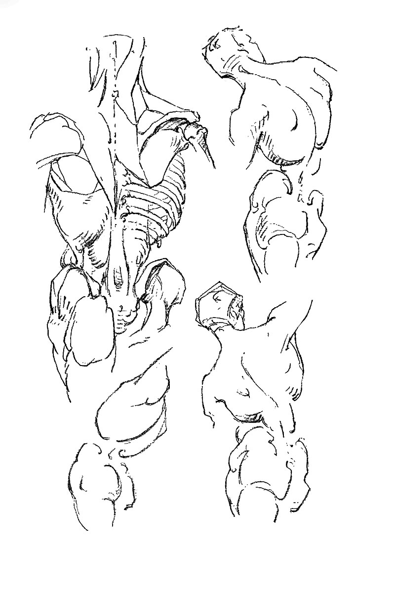 Image File