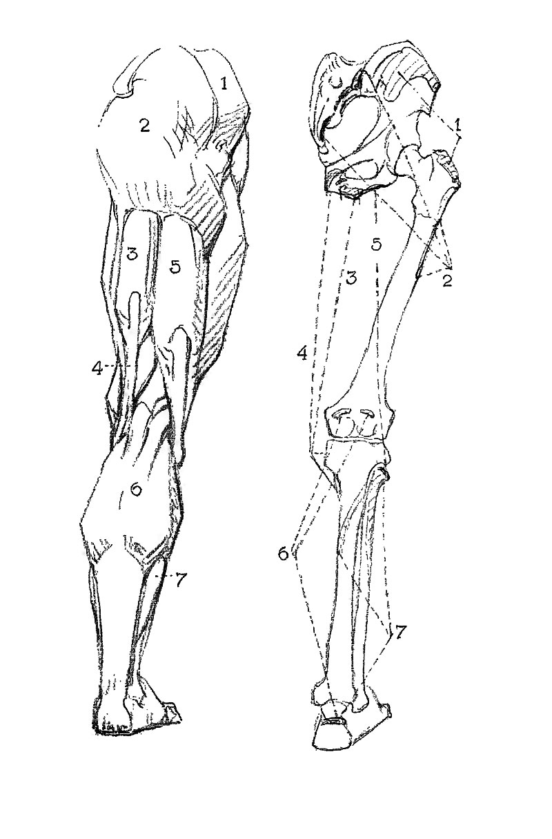 Image File