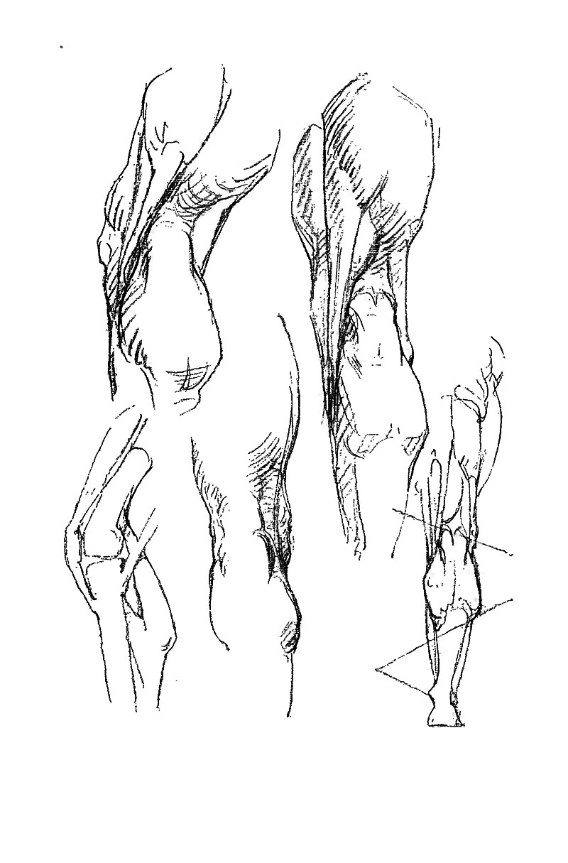 Image File
