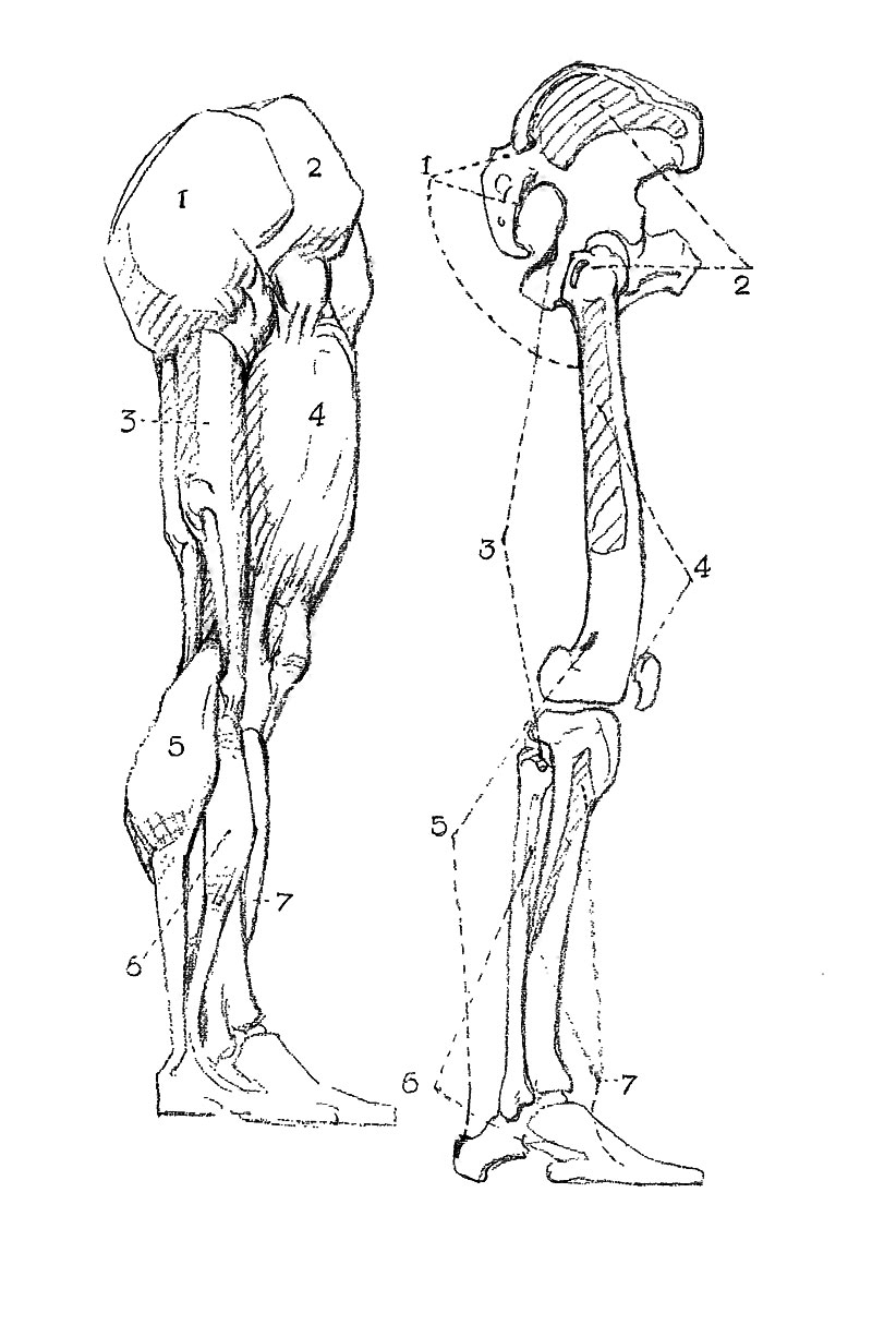 Image File