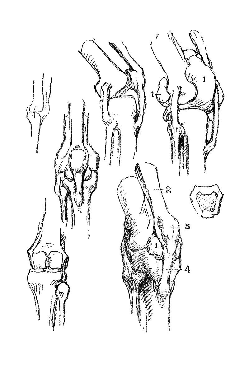 Image File