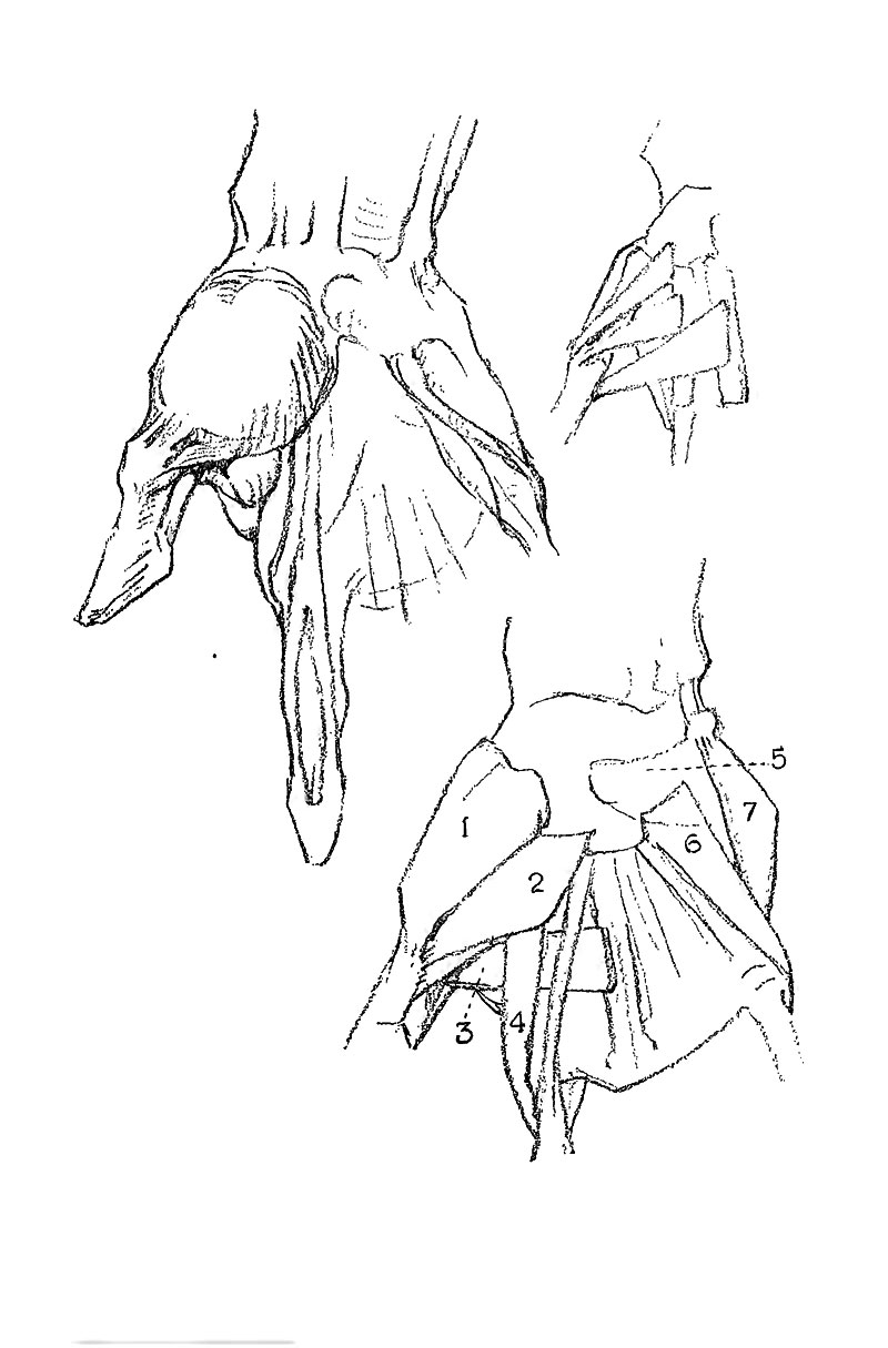 Image File