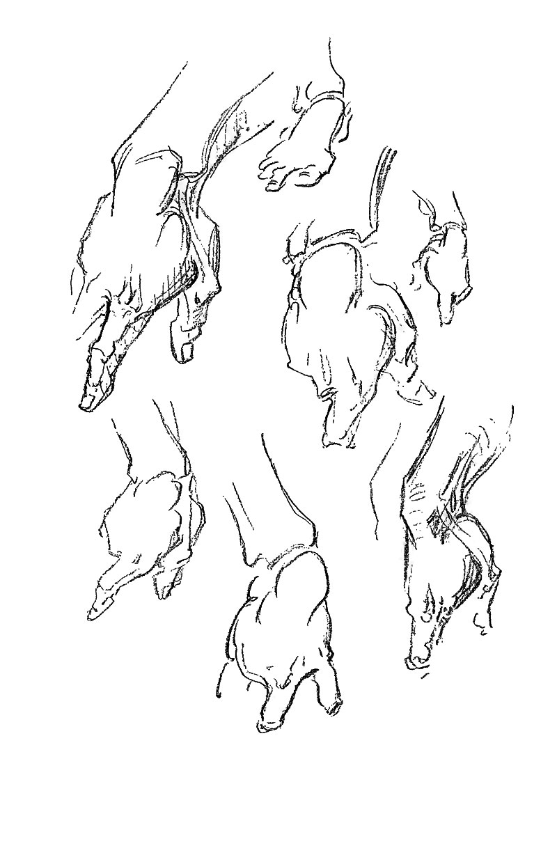 Image File
