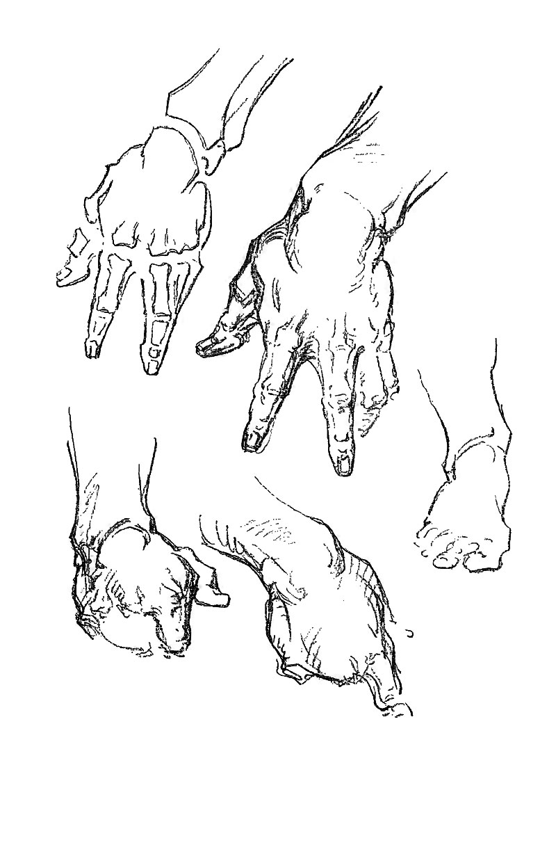 Image File