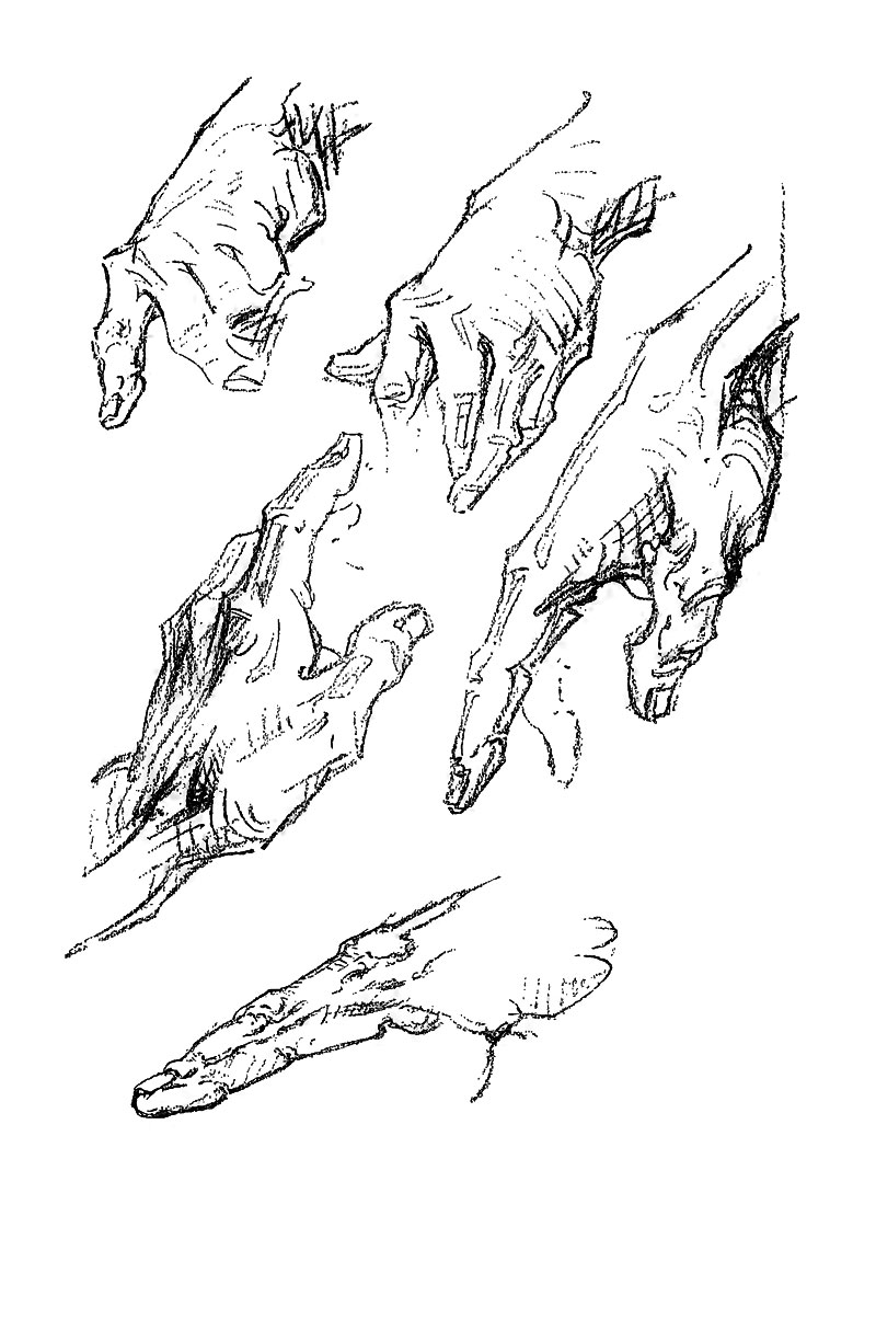 Image File
