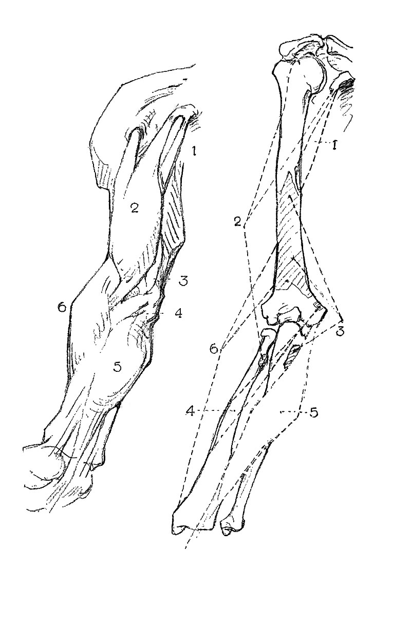 Image File