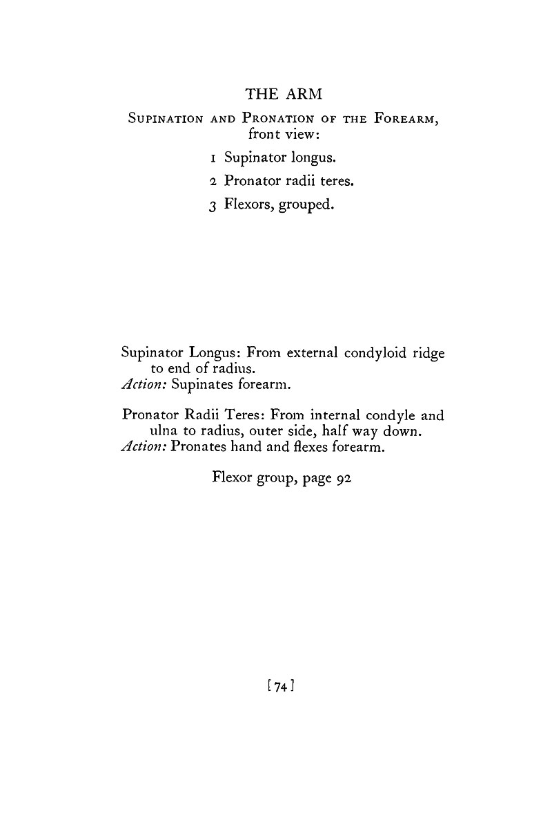Image File