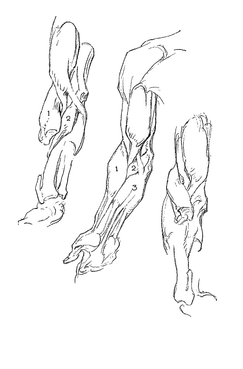 Image File