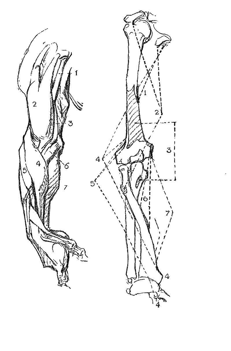 Image File
