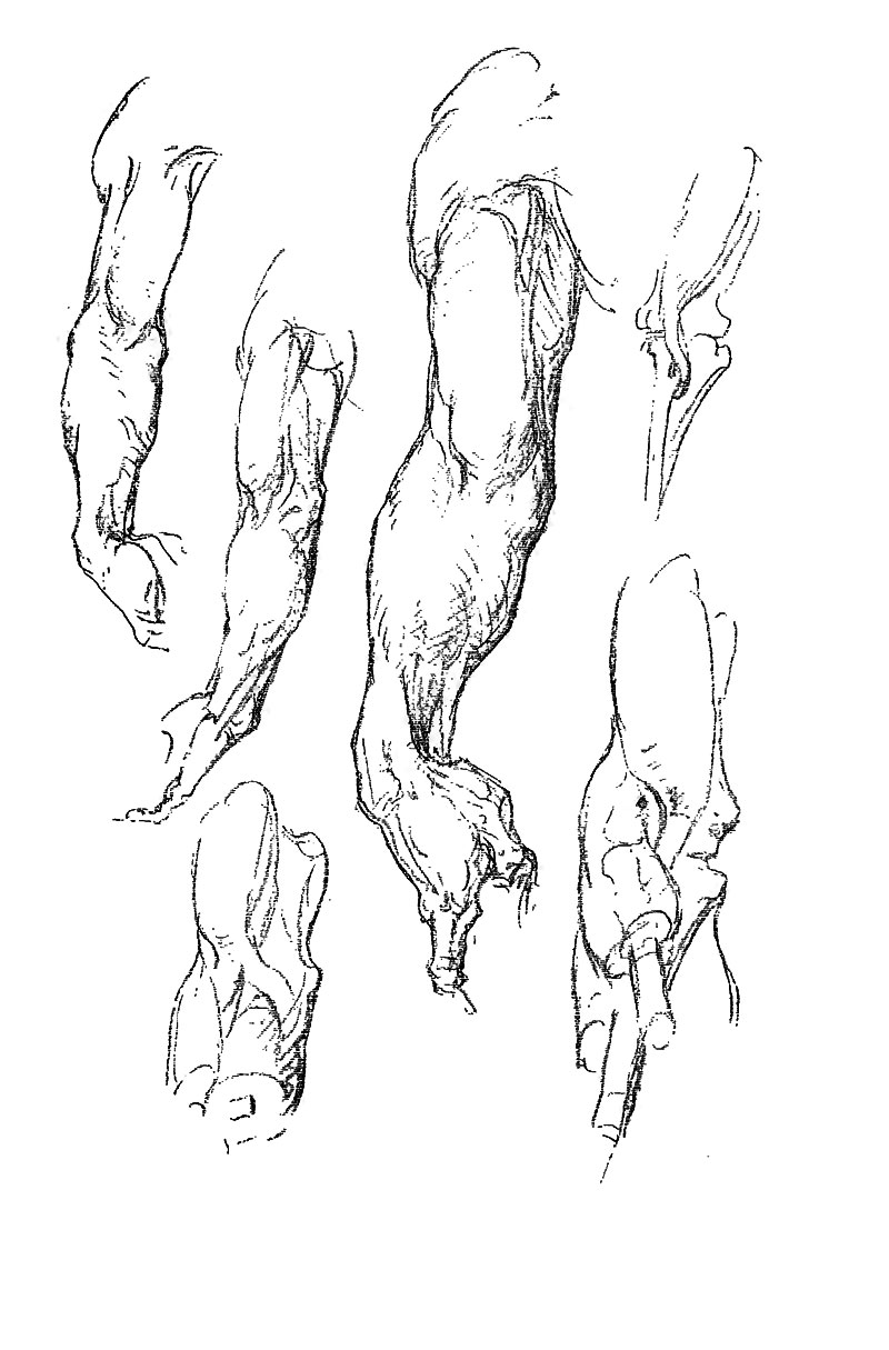 Image File