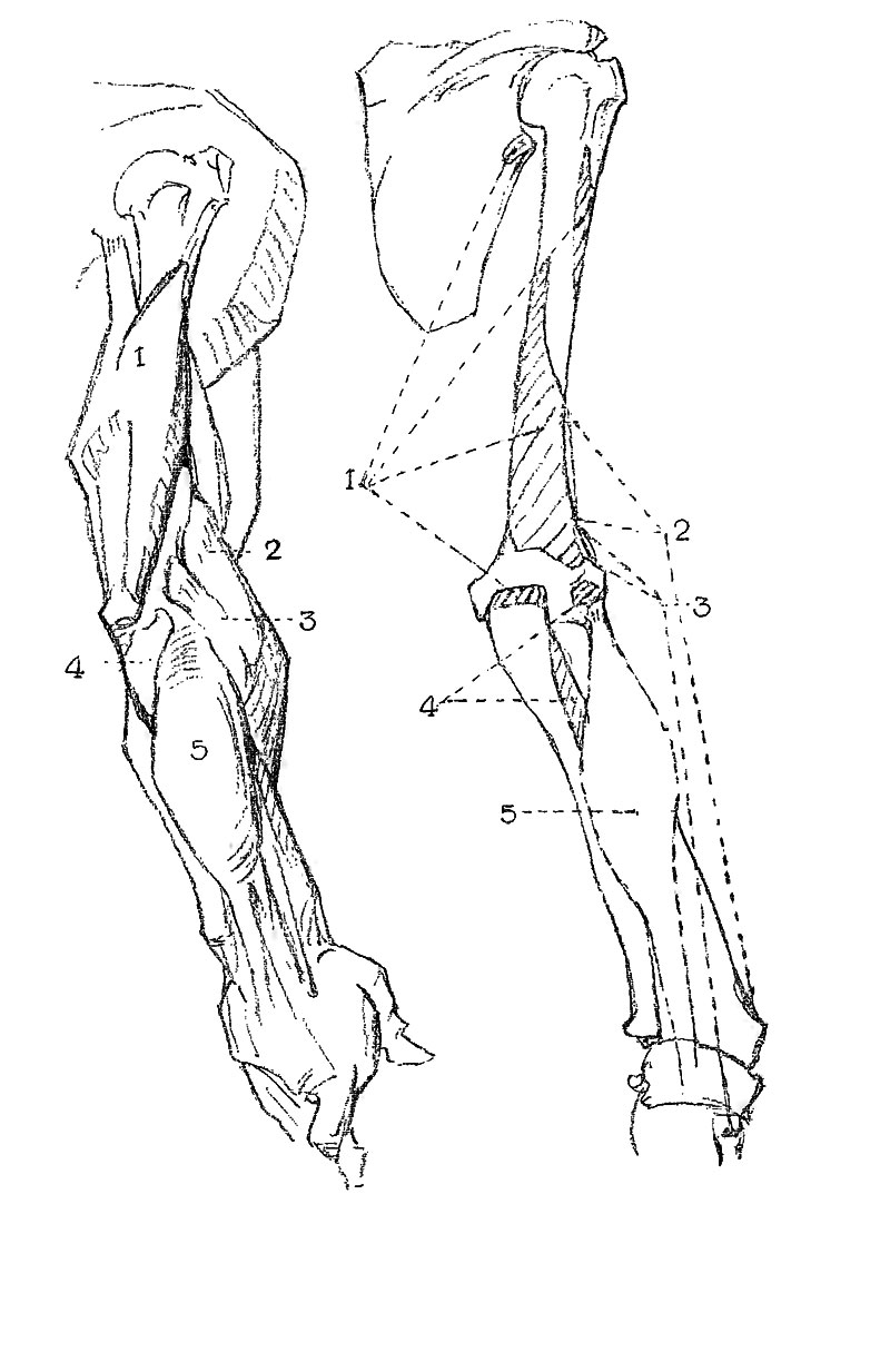 Image File