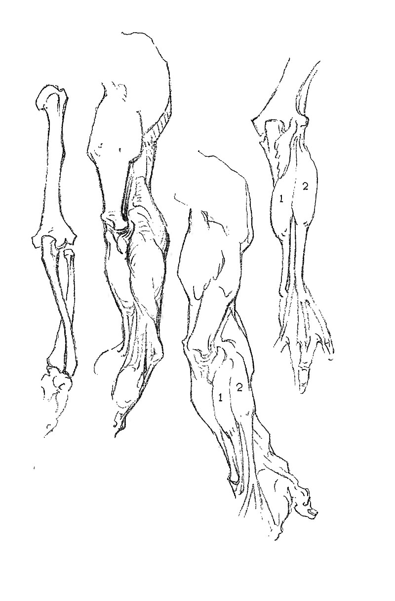 Image File