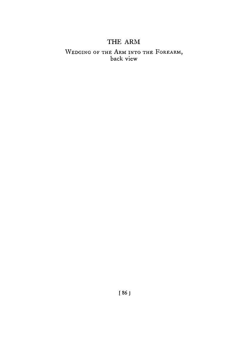 Image File