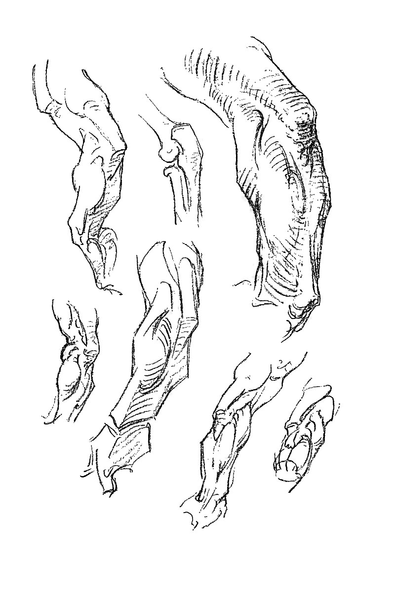 Image File