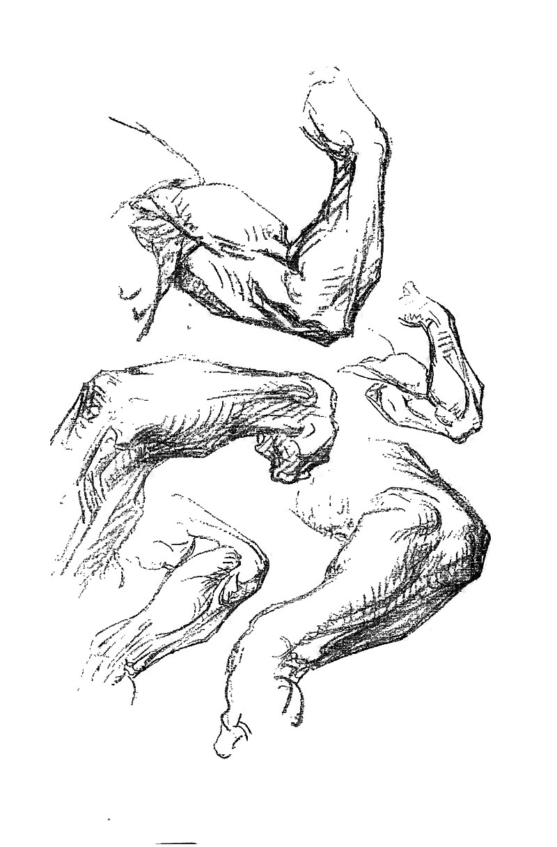 Image File
