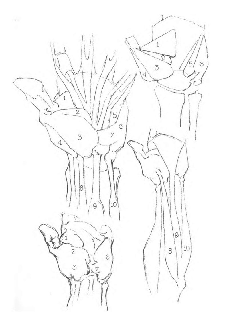 Title Page