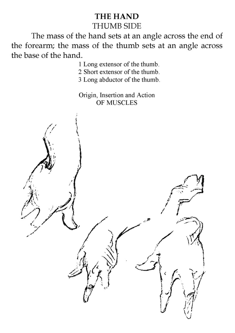 Title Page