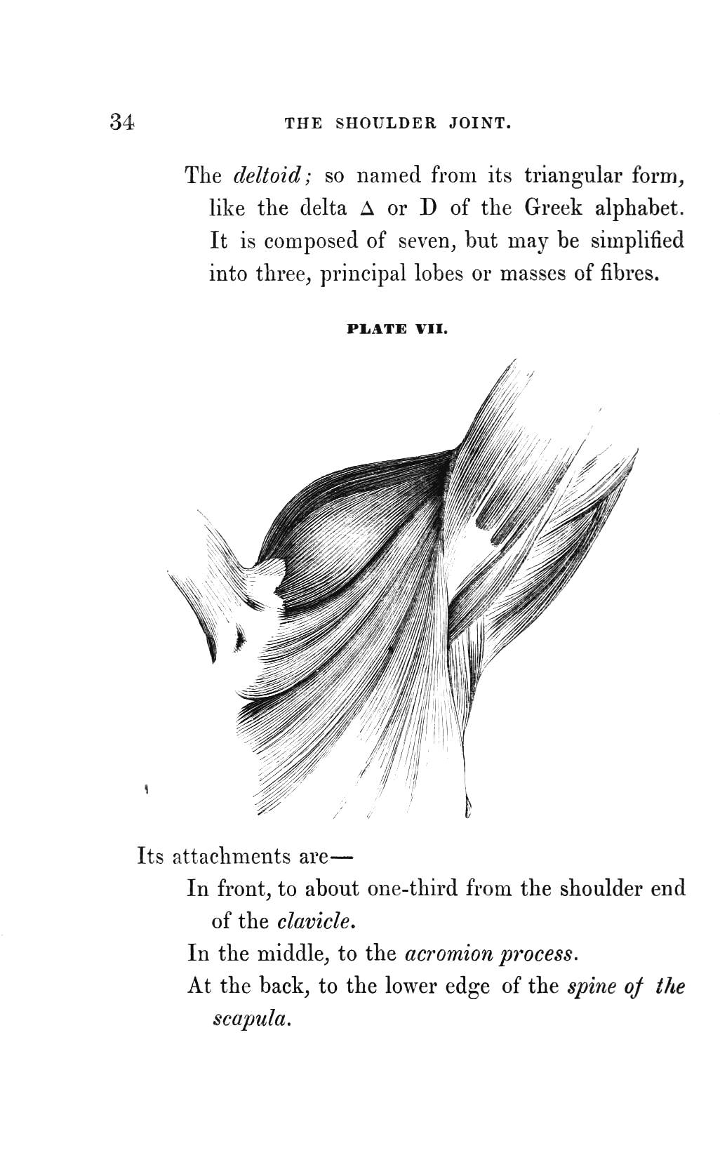 Title Page